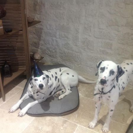 Le Sang Des Vignes Bed and Breakfast Monbazillac Εξωτερικό φωτογραφία