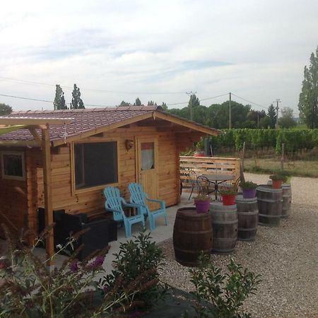 Le Sang Des Vignes Bed and Breakfast Monbazillac Εξωτερικό φωτογραφία